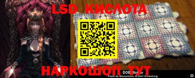 прущая мука Гусев