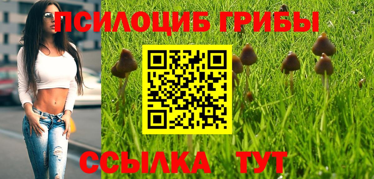 Галлюциногенные грибы Cubensis Снежинск
