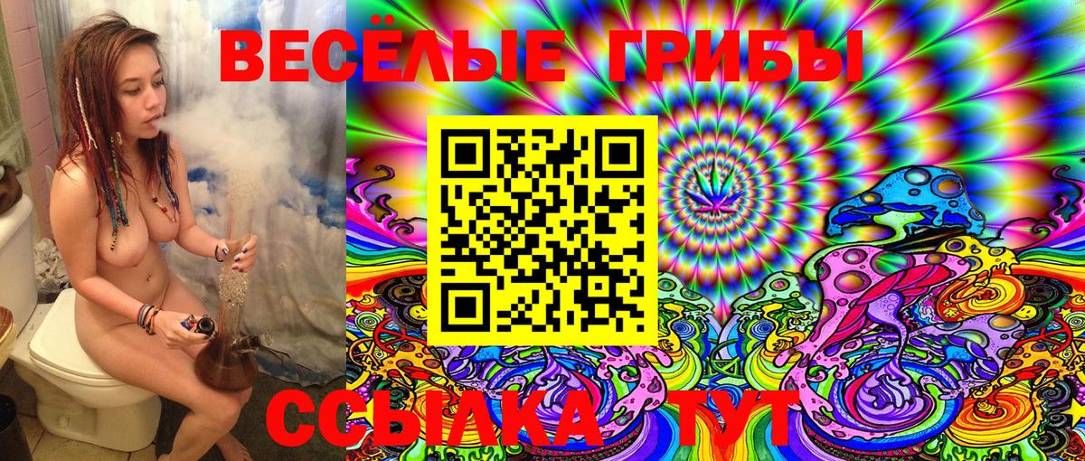 Галлюциногенные грибы Psilocybe  Вход с VPN  Снежинск  Псилоцибиновые грибы Magic Shrooms 