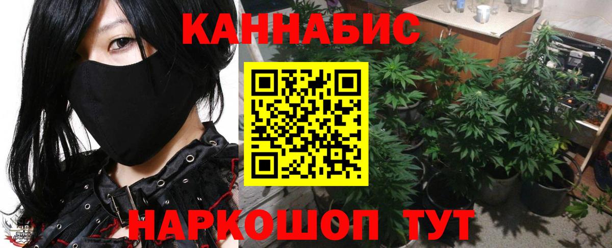 Бошки марихуана семена Снежинск
